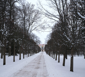 Similar image 22366277