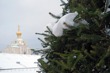 Similar image 22366339