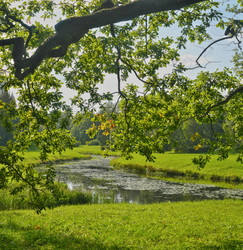 Similar image 22366385