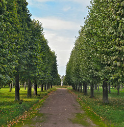 Similar image 22366386