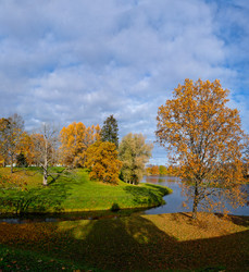 Similar image 22366387