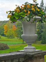 Similar image 22366429