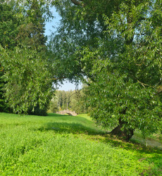 Similar image 22366442