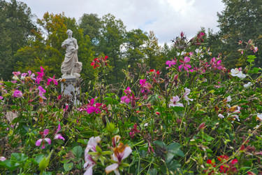 Similar image 22366445