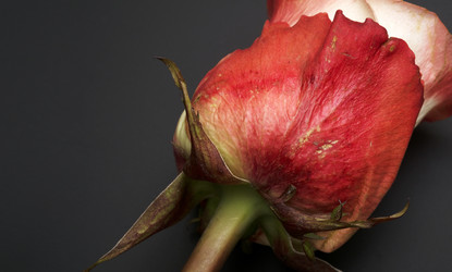 Similar image 22366234