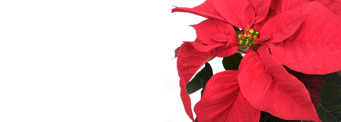 Similar image 22366274