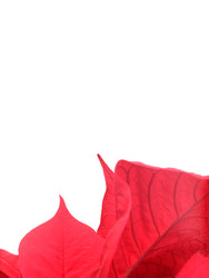 Similar image 22366288