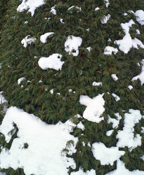 Similar image 22366317