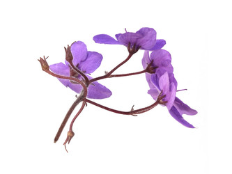 Similar image 22366347