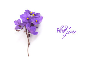 Similar image 22366349