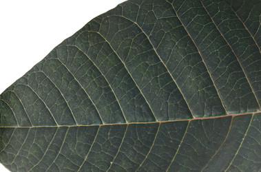 Similar image 22366433