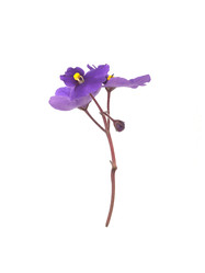 Similar image 22366463