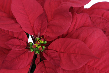 Similar image 22378690