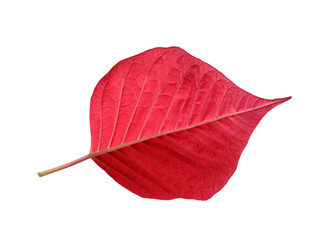 Similar image 22378030