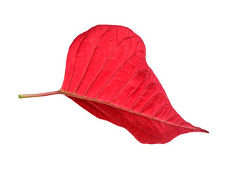 Similar image 22378104