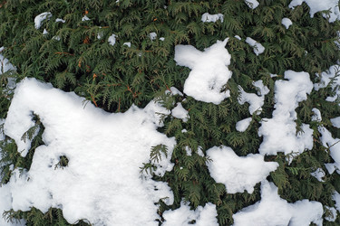 Similar image 22378240