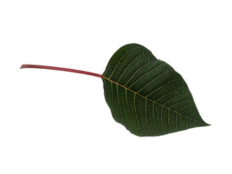 Similar image 22378331