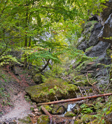 Similar image 22378406