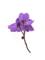 Similar image 22378420