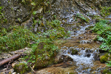 Similar image 22378421