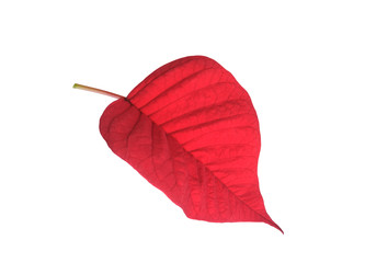 Similar image 22378451