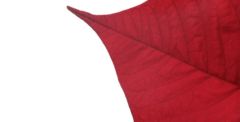 Similar image 22378453