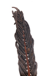 Similar image 22378482