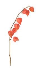 Similar image 22378556