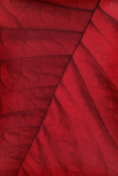 Similar image 22378585