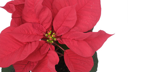 Similar image 22378591