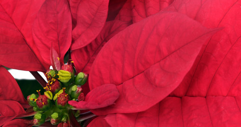 Similar image 22378629