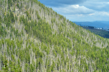 Similar image 22378660