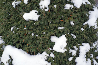 Similar image 22377944