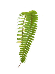 Similar image 22378020