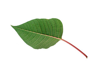 Similar image 22378033