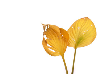 Similar image 22378035