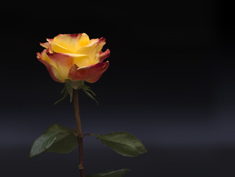 Similar image 22378169