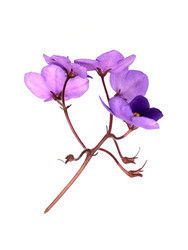 Similar image 22378242