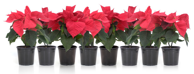 Similar image 22378302