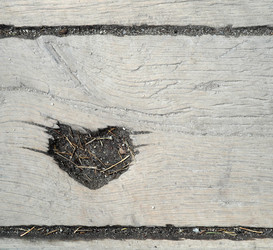 Similar image 22378334