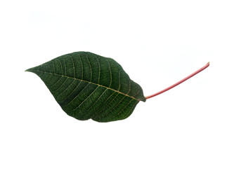 Similar image 22378411