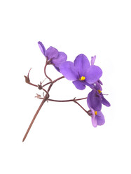 Similar image 22378412