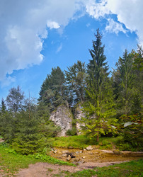 Similar image 22378426