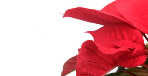 Similar image 22378487