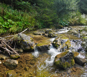 Similar image 22378489