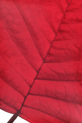 Similar image 22378501