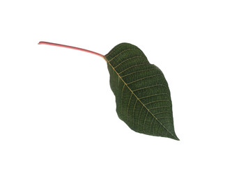 Similar image 22378575