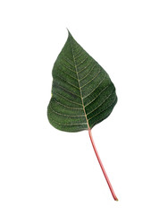 Similar image 22378592