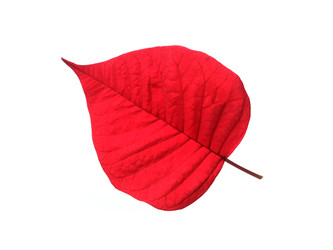 Similar image 22378608