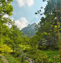 Similar image 22378650